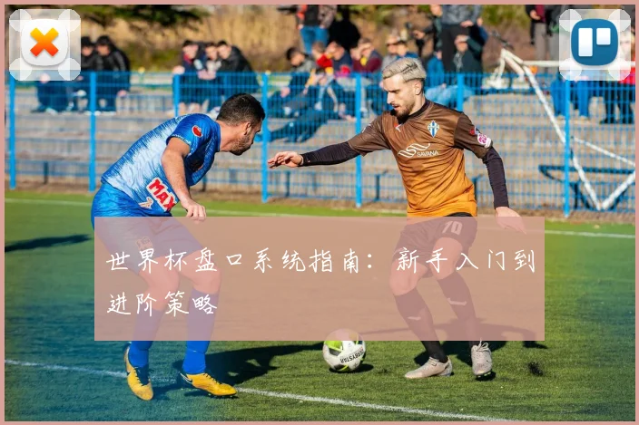 世界杯盘口系统指南：新手入门到进阶策略