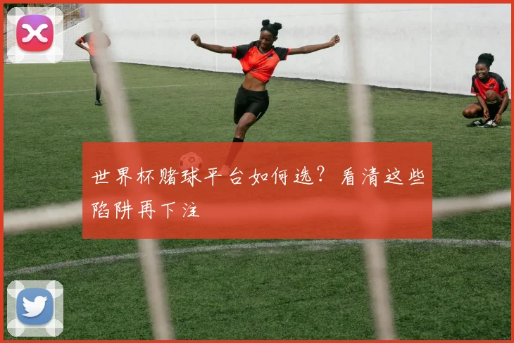 世界杯赌球平台如何选？看清这些陷阱再下注