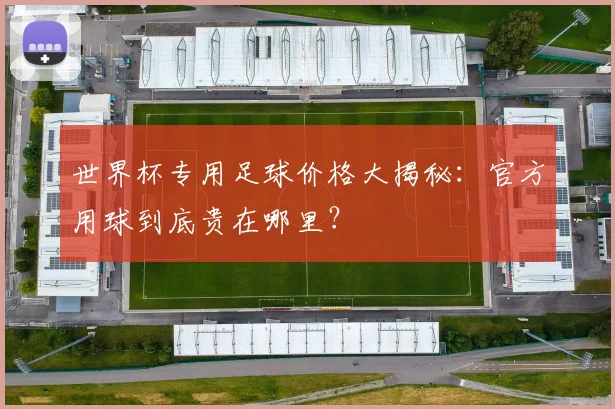 世界杯专用足球价格大揭秘：官方用球到底贵在哪里？