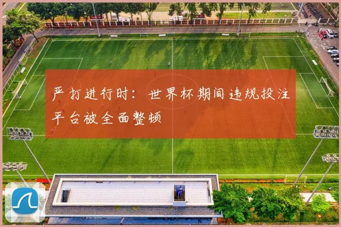 严打进行时：世界杯期间违规投注平台被全面整顿