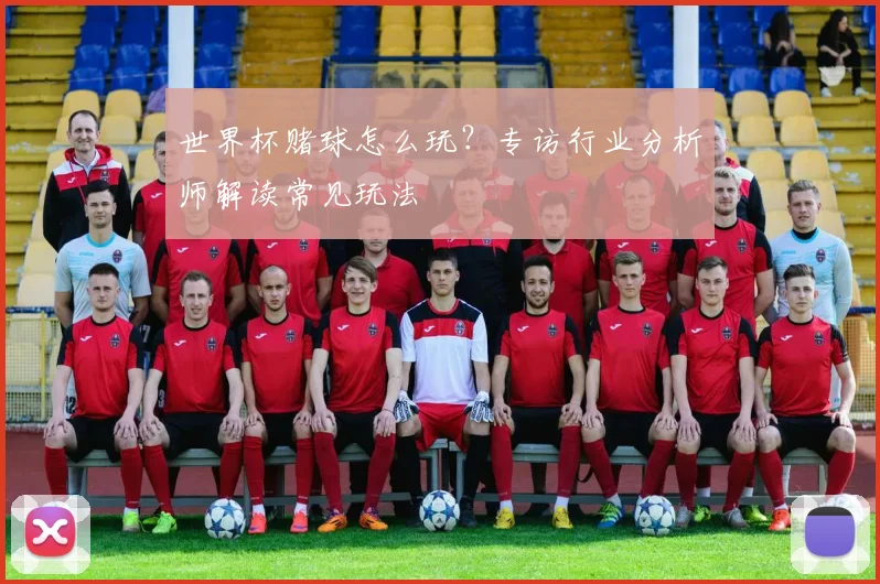 世界杯赌球怎么玩？专访行业分析师解读常见玩法