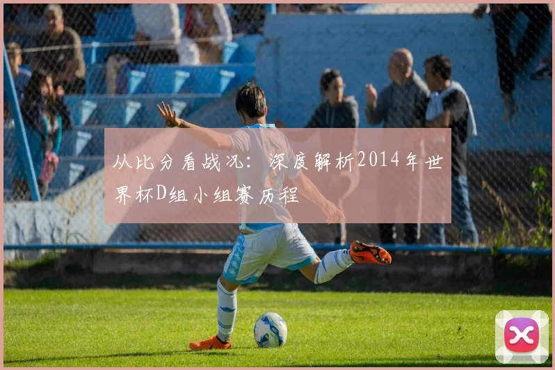 从比分看战况：深度解析2014年世界杯D组小组赛历程