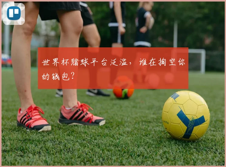 世界杯赌球平台泛滥,谁在掏空你的钱包?