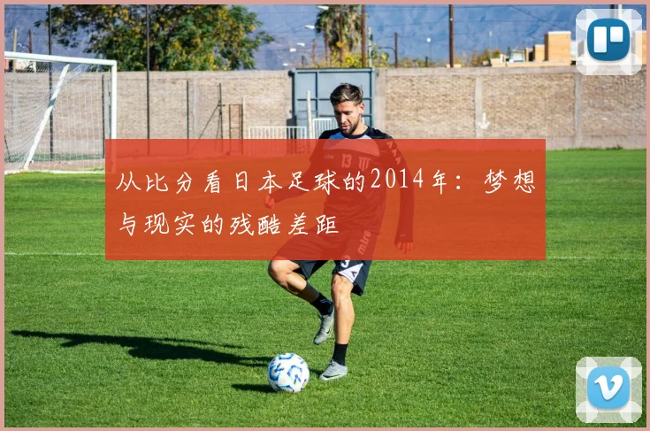 从比分看日本足球的2014年：梦想与现实的残酷差距